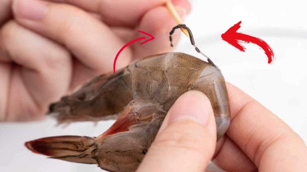 Não deve comer camarão se não tirar a tripa escura