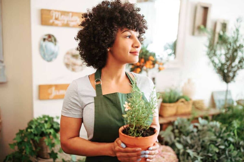 Essa planta é fácil de cuidar e perfeita para ter em casa