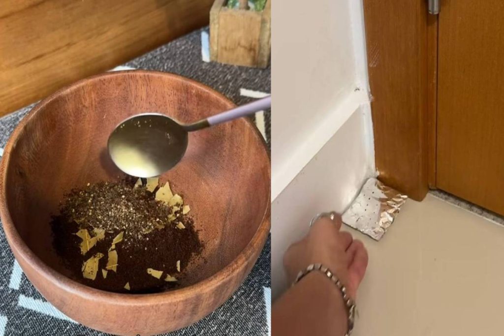 afasta baratas, formigas, baratas e traças