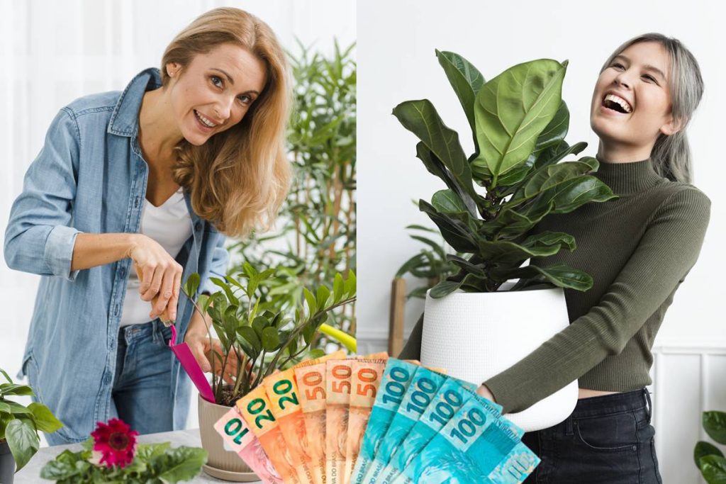 Essas 3 plantas atraem sorte e dinheiro, mas só se você colocar nesse lugar da casa!