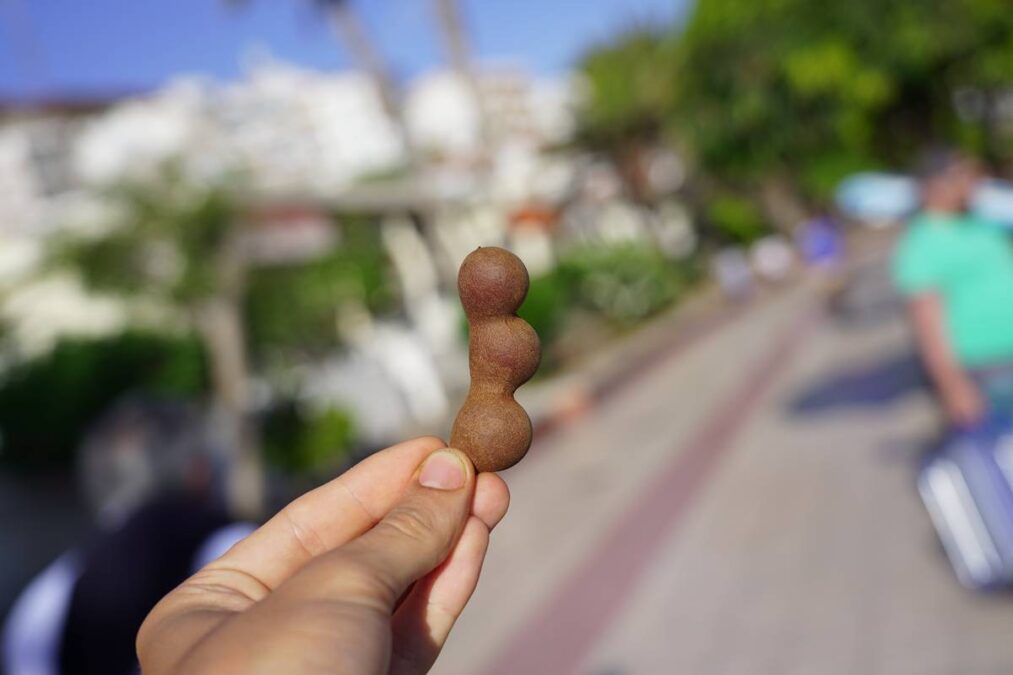 Esta é a fruta que quase não é consumida no Brasil e que ajuda a cuidar da pressão arterial