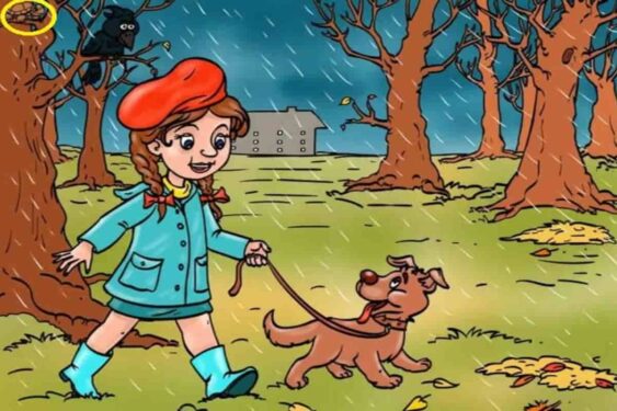 Encontre o erro na imagem da menina e do cachorro e prove que você é especialista