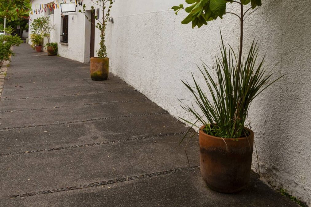 Por que você deve borrifar pátios e calçadas com vinagre outubro