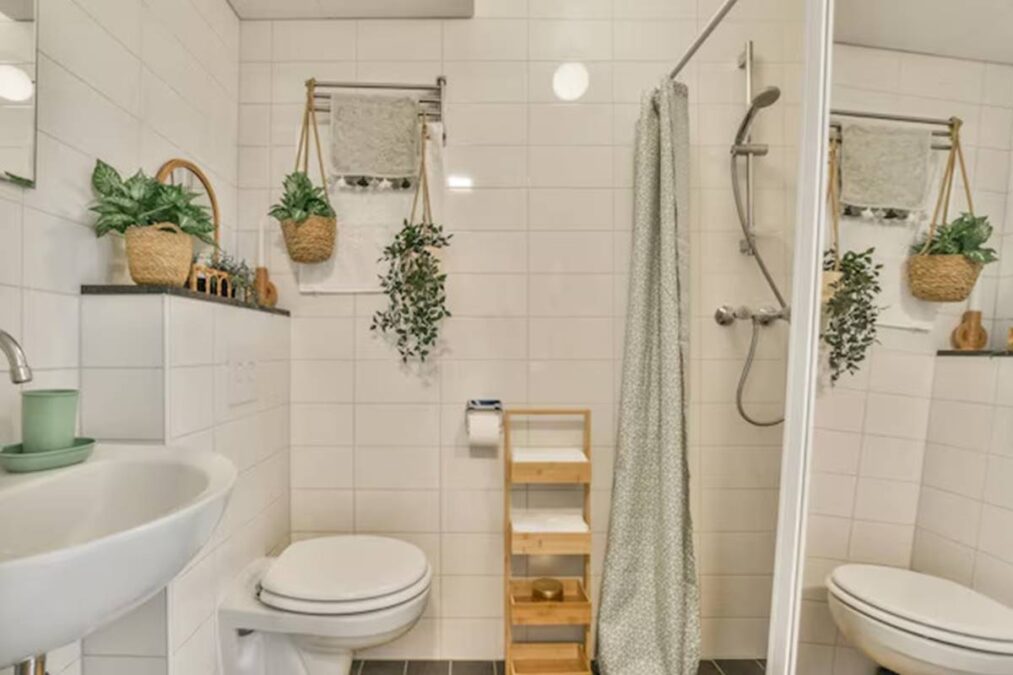 Melhores plantas para o banheiro