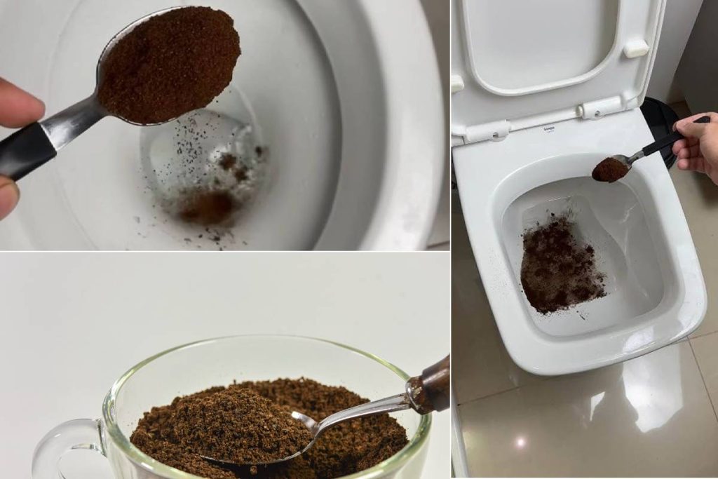 Por que você deve colocar pó de café no vaso sanitário