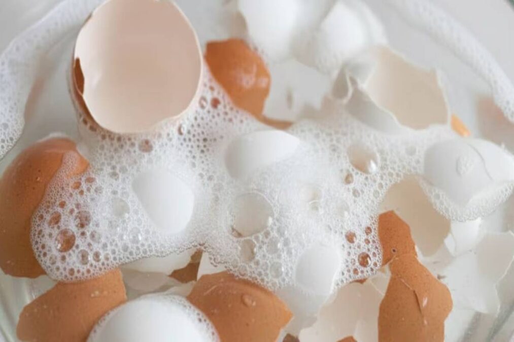 Por que você deve misturar cascas de ovo com água e sabão e para que serve