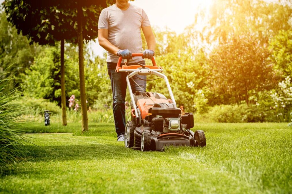 Quase ninguém sabe disso, e é ótimo: a regra que deixa a grama mais grossa em outubro