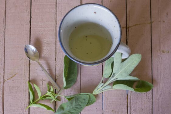 benefícios do chá de sálvia