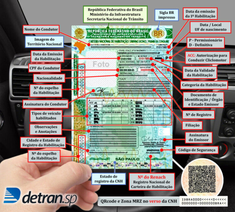 detalhes-nova-cnh-768x691