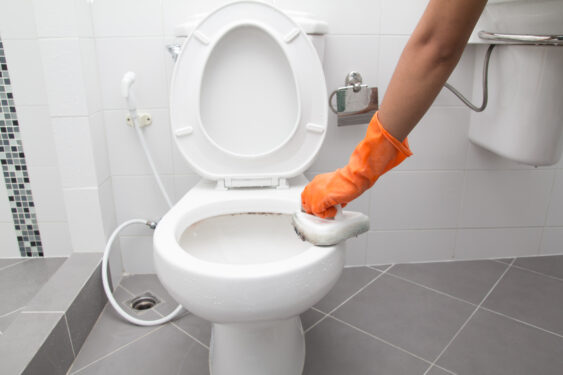 dica para limpeza do banheiro