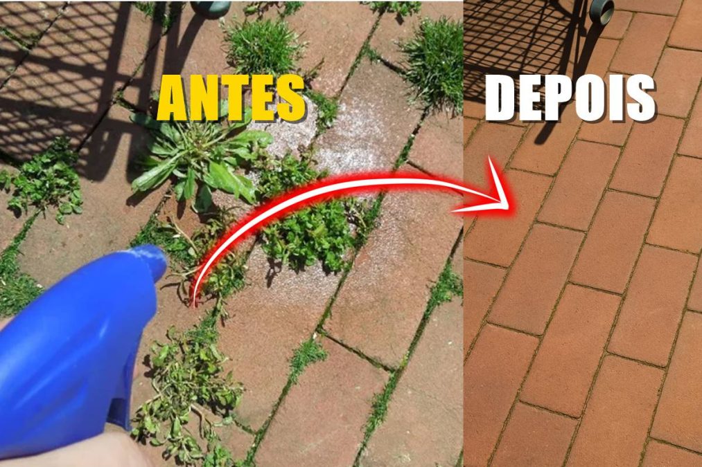 ervas daninhas na calçada Mata-Mato