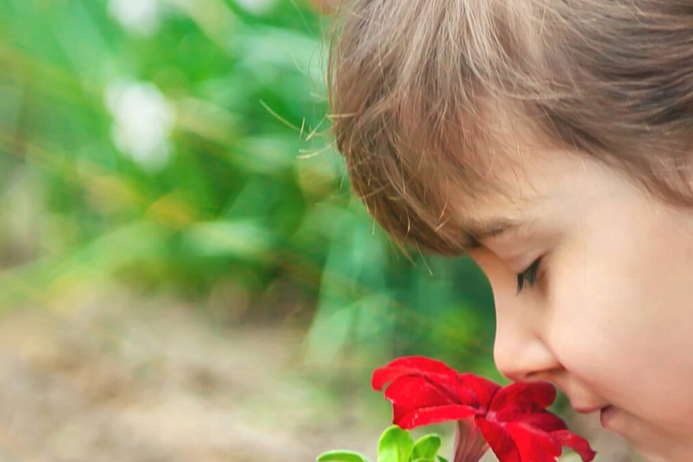Criança cheirando flor vermelha de planta venenosa no jardim