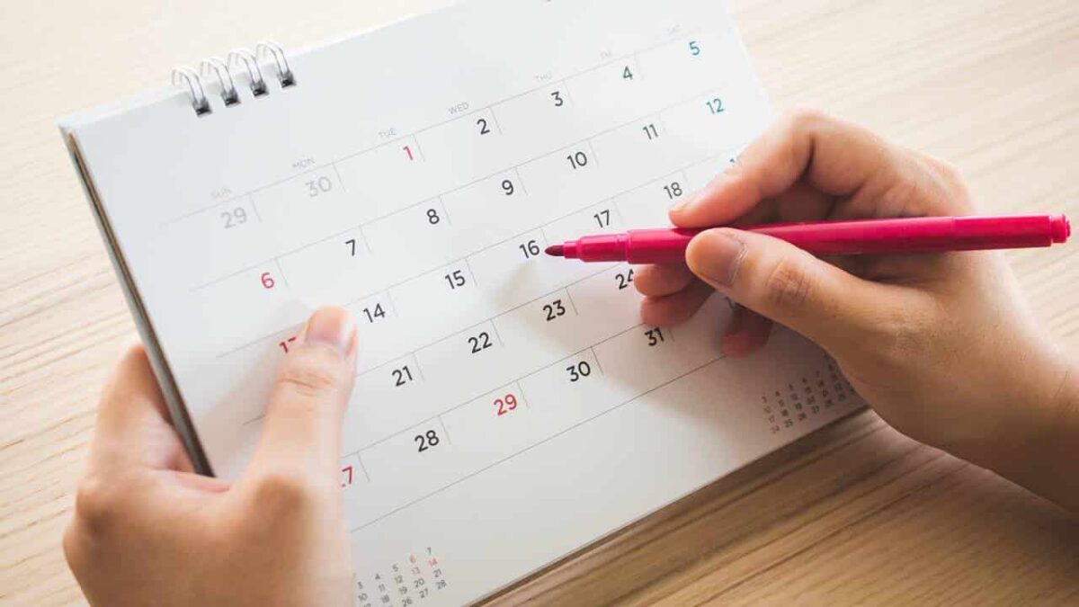 Segunda-feira 8 de dezembro é feriado?