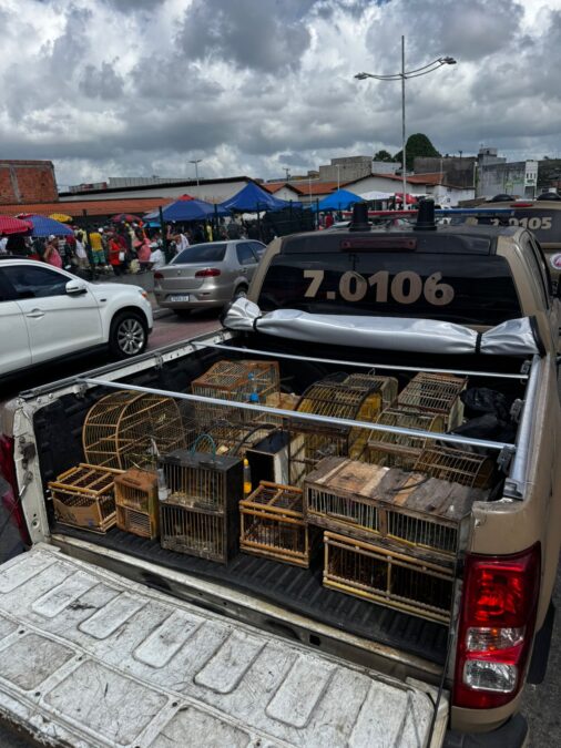 Resgate de 55 aves no Mercado Municipal de Simões Filho