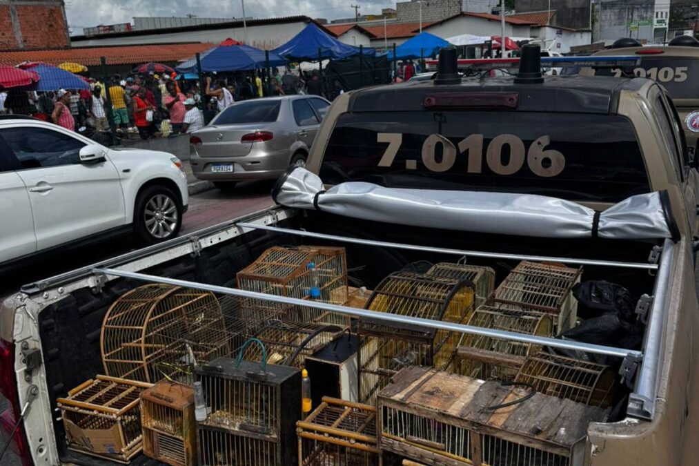 Resgate de 55 aves no Mercado Municipal de Simões Filho