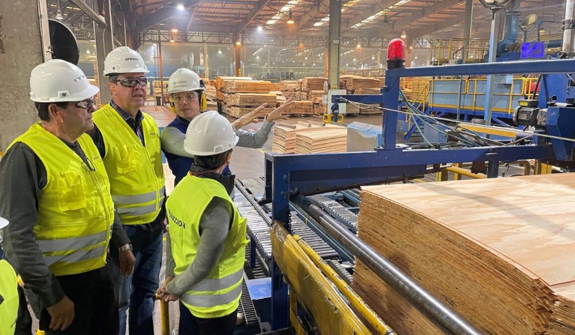 Megafábrica da chilena Arauco