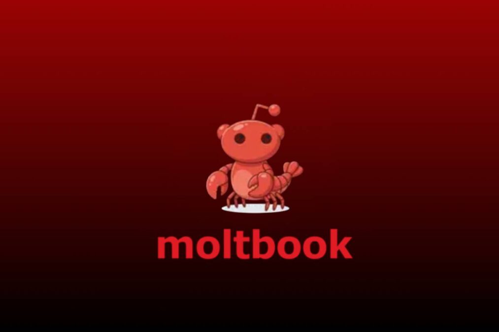 Nova rede social Moltbook