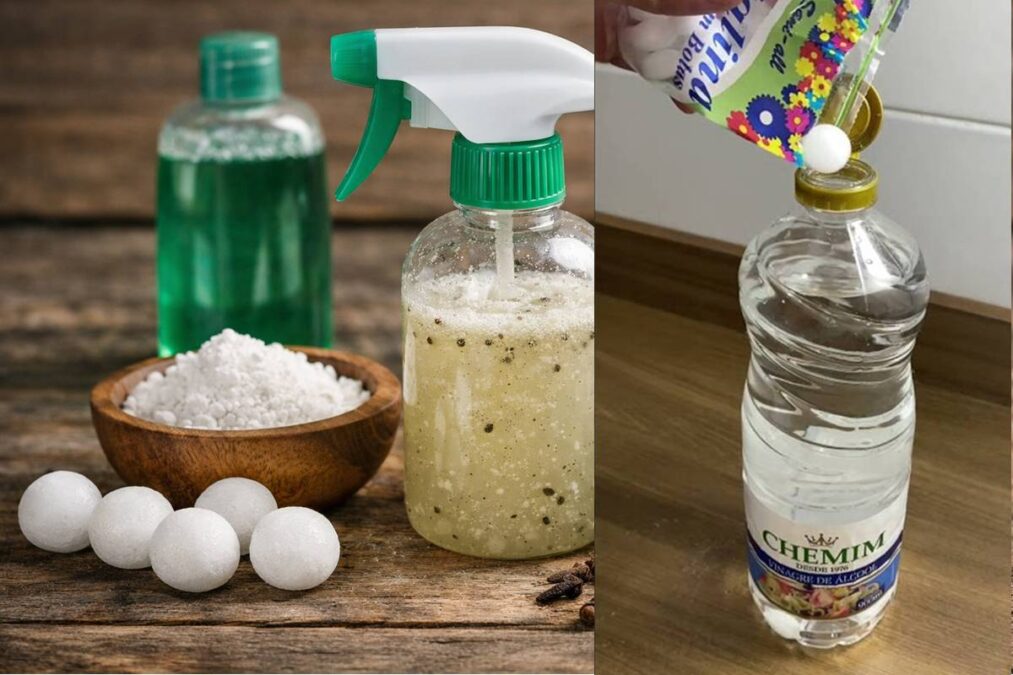 mistura elimina baratas