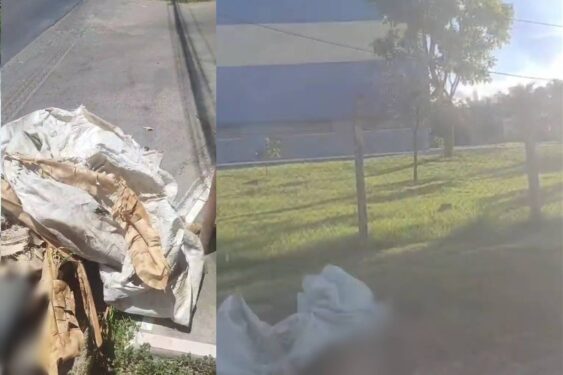 Dois corpos são encontrados no CIA em Simões Filho no mesmo dia