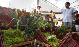 Governo adia exigência de cnpj para autônomos e produtores rurais até 2027