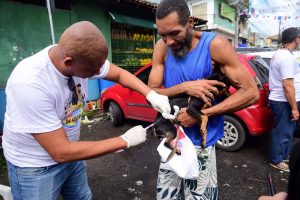 Salvador amplia vacinação antirrábica para cães e gatos neste fim de semana