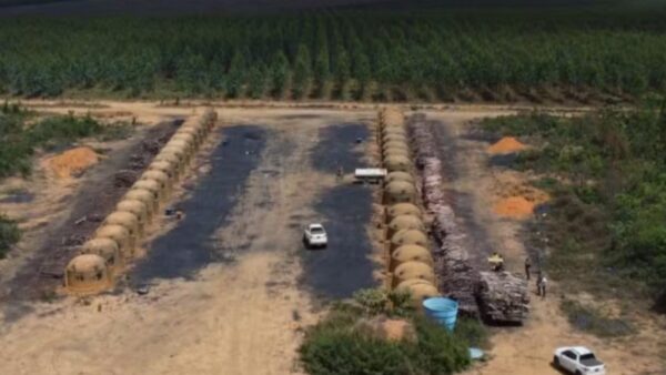 Mp identifica mais de 200 hectares de desmatamento ilegal na bahia